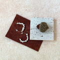 Cleo Double C Earrings — product view 1